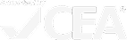 Language Icon 2